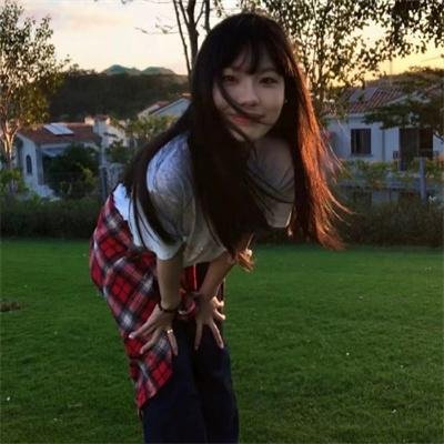 希德尼娅的骑士